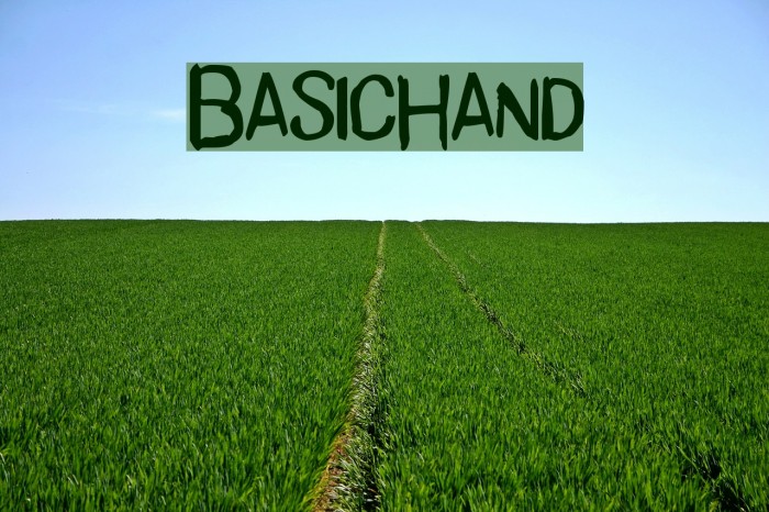 BasicHand Schriftart examples