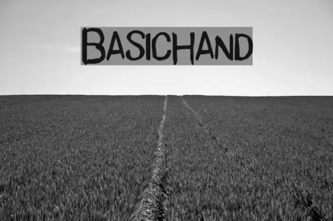 BasicHand Polices examples