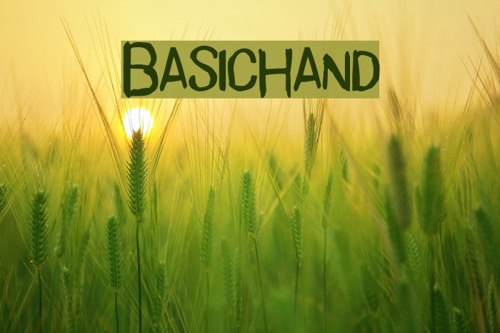 BasicHand Schriftart examples