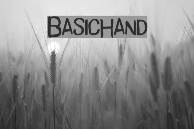 BasicHand Polices examples