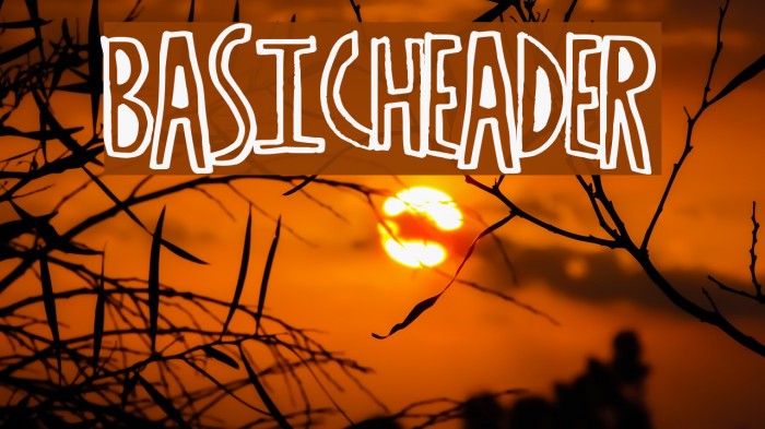 BasicHeader Schriftart examples