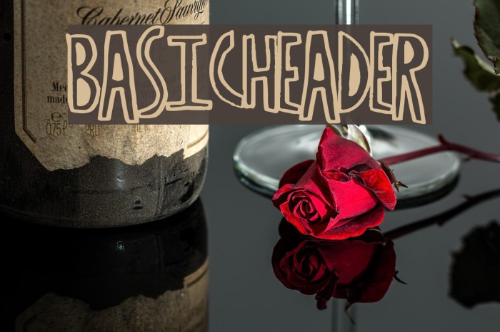 BasicHeader Schriftart examples