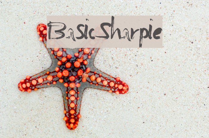 BasicSharpie Font examples