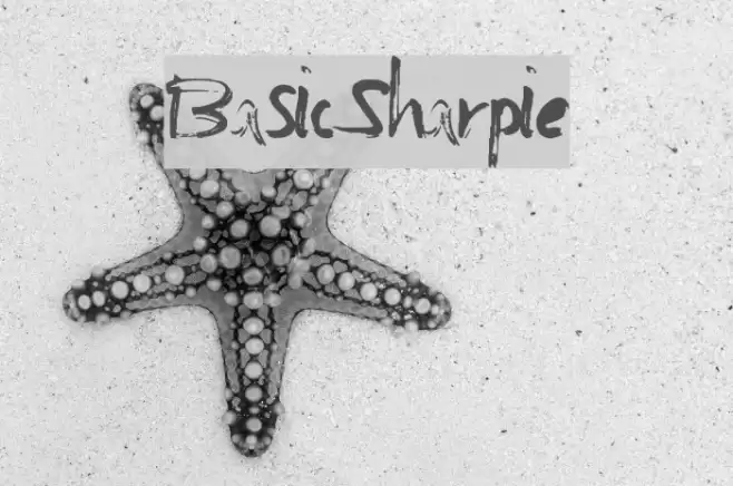 BasicSharpie Font examples