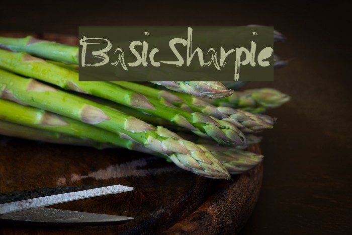 BasicSharpie Font examples