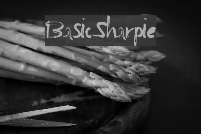 BasicSharpie Font examples