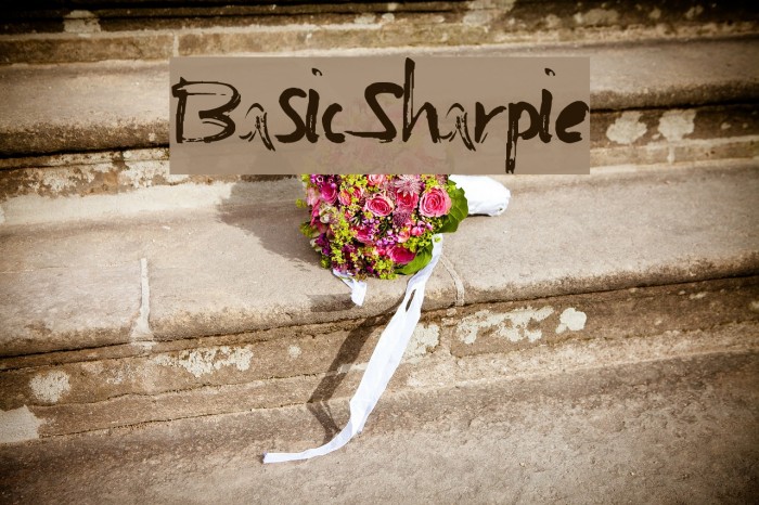 BasicSharpie Font examples