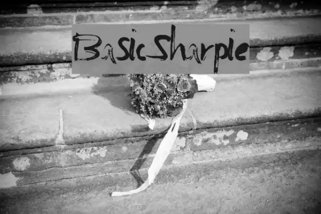 BasicSharpie Font examples