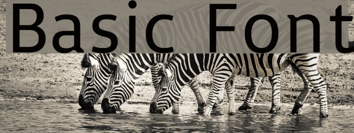 Basic Fonte examples