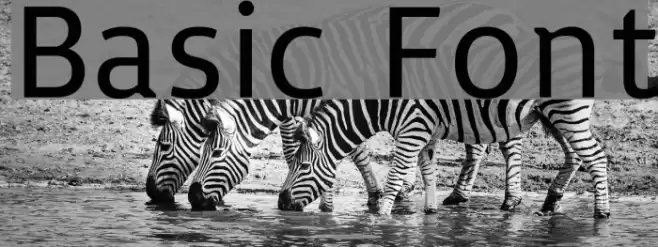 Basic Font examples