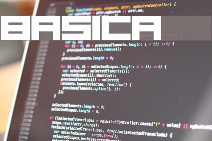 Basica 2.0 Example 1