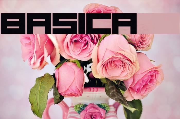 Basica 2.0 Example 2