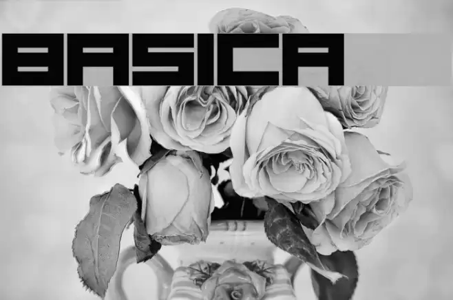 Basica 2.0 Font examples