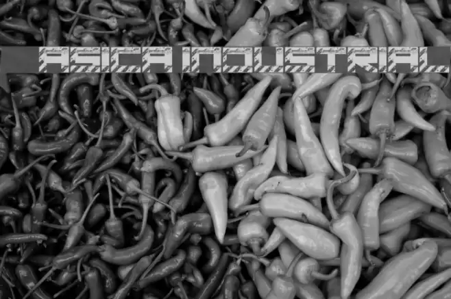 Basica industrial Font examples