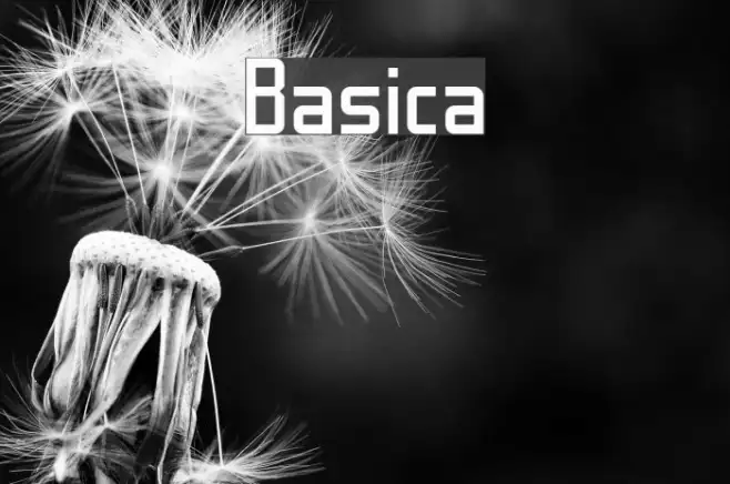 Basica Example 2