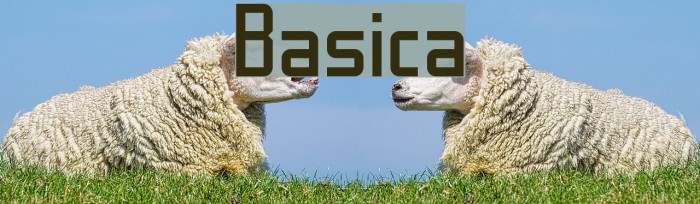 Basica Font examples