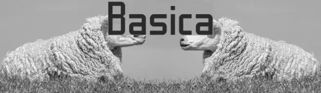 Basica Example 3