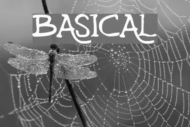 Basical Font examples