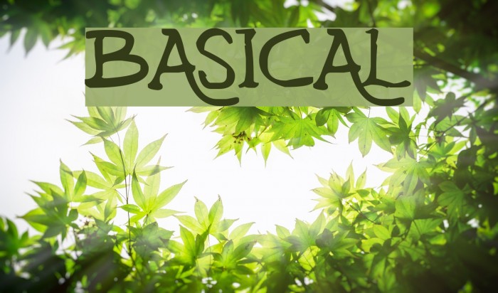 basical 字体