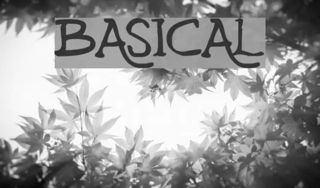 Basical Font examples