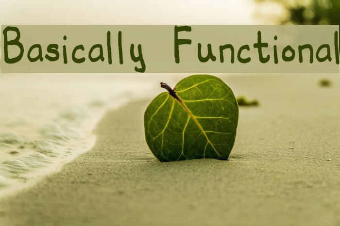 Basically Functional Font examples