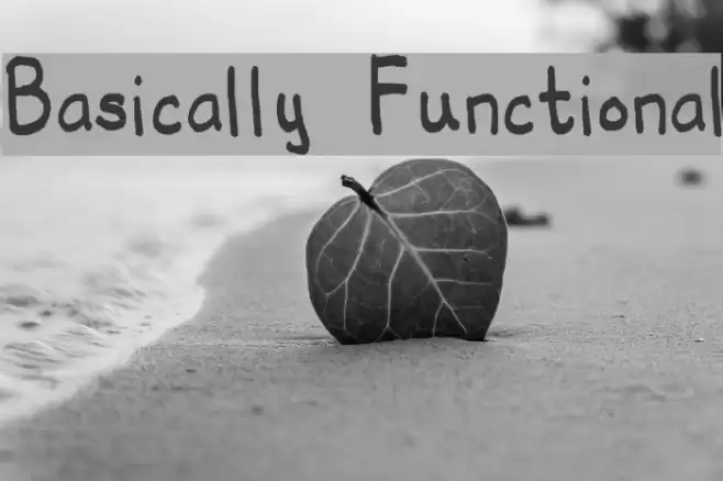 Basically Functional Polices examples