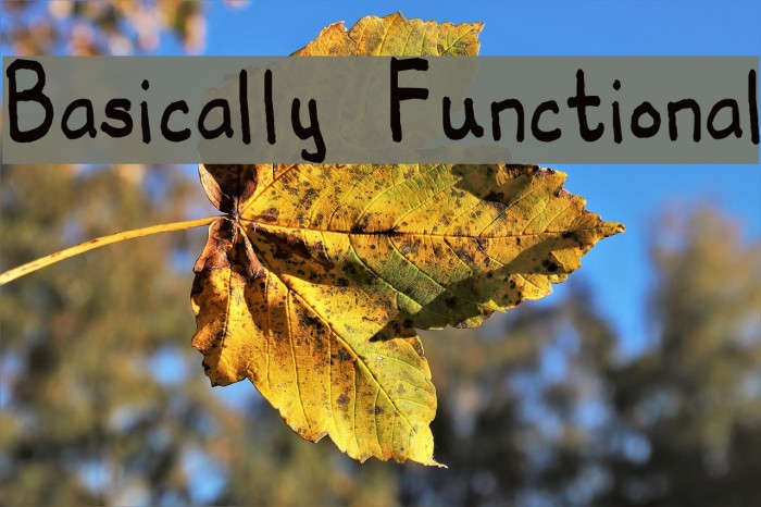 Basically Functional Font examples