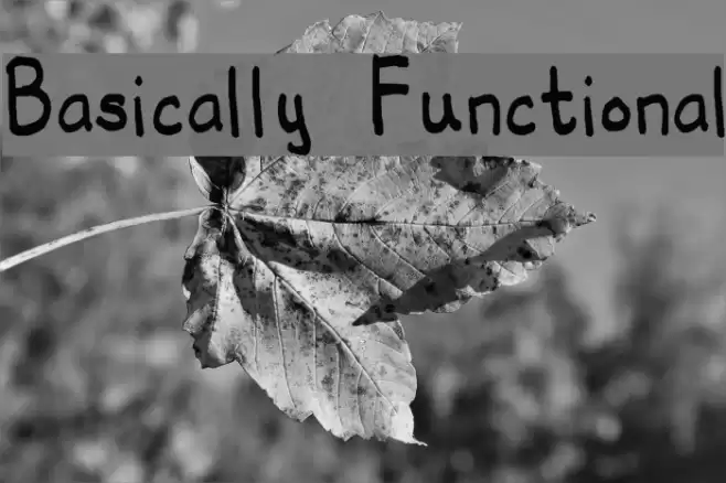 Basically Functional Polices examples
