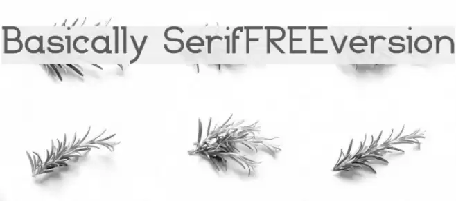 Basically Serif_FREE-version Font examples