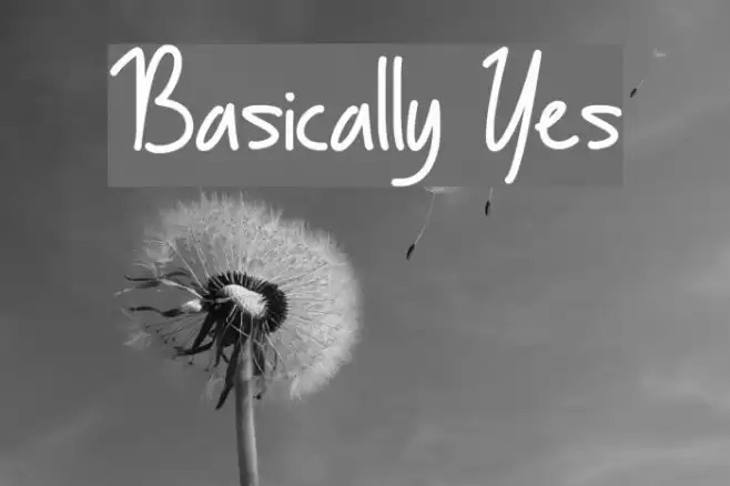 Basically Yes Font examples