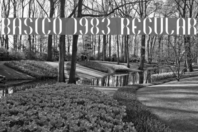 Basico 1983 Regular Example 1