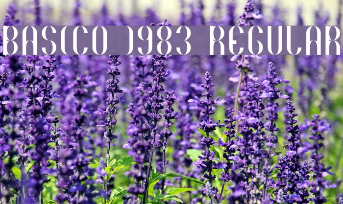 Basico 1983 Regular Font examples