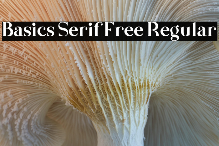 Basics Serif Free Regular Example 1