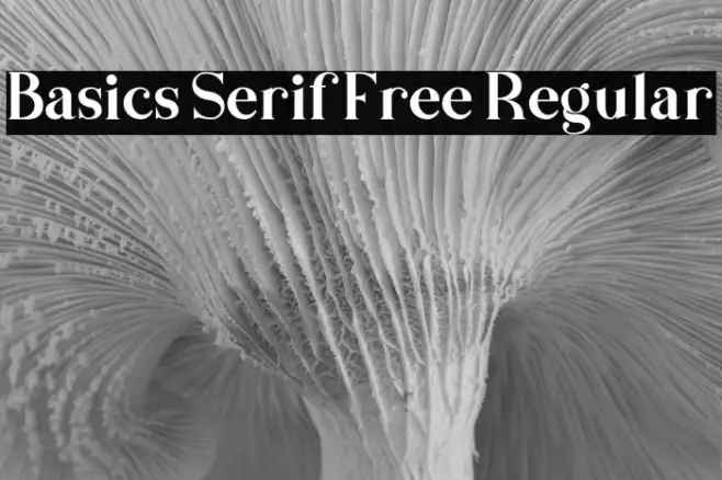 Basics Serif Free Regular Example 1