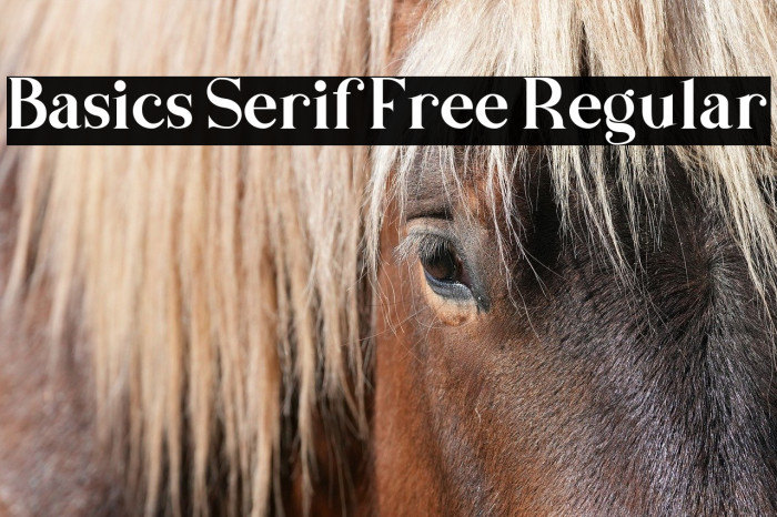 Basics Serif Free Regular Example 2