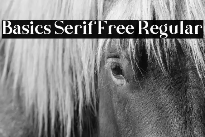Basics Serif Free Regular Example 2