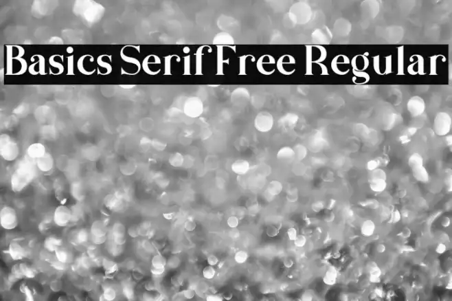 Basics Serif Free Regular Example 3