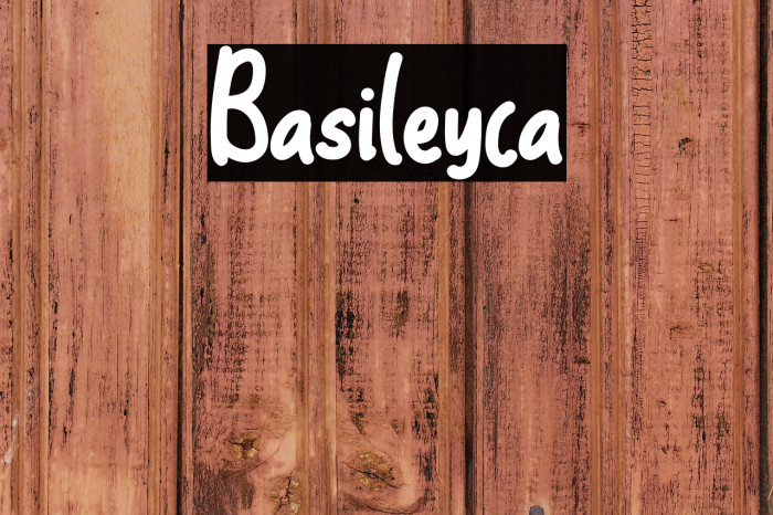 Basileyca Example 2