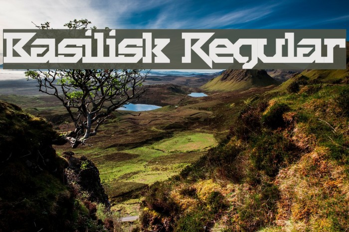 Basilisk Regular Font examples