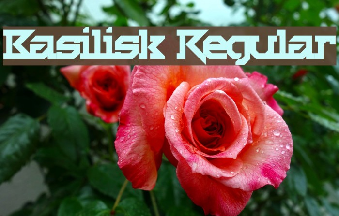Basilisk Regular Font examples