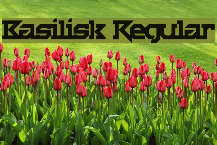 Basilisk Regular Schriftart examples