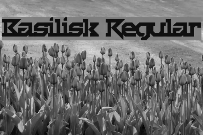 Basilisk Regular Font examples