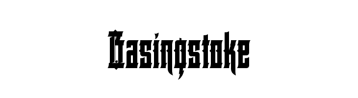 Basingstoke Polices