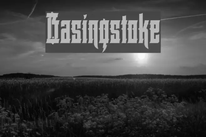 Basingstoke Example 1