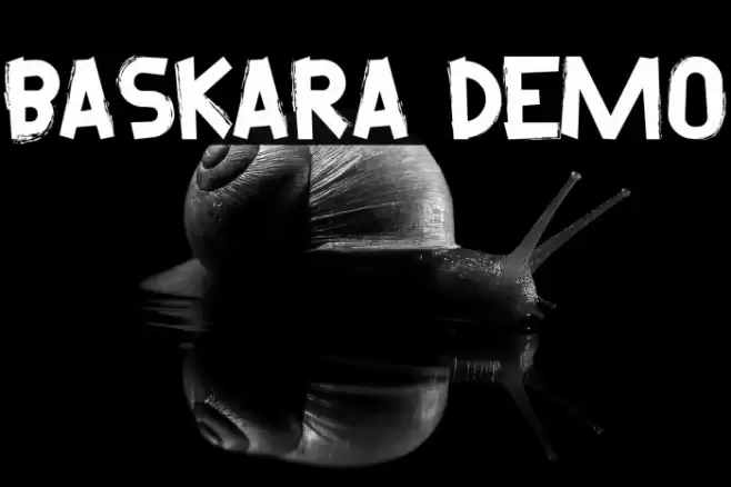 Baskara Demo Font examples