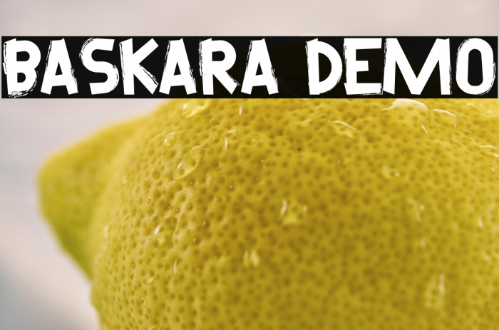 Baskara Demo Example 3