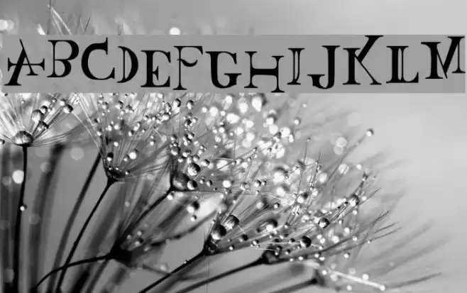 Baskertown Font examples