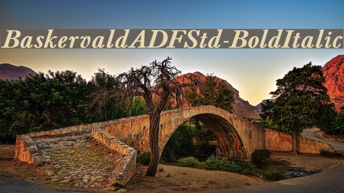 BaskervaldADFStd-BoldItalic Font examples