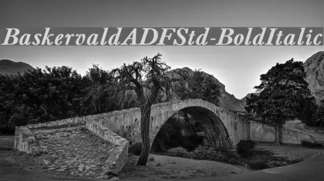 BaskervaldADFStd-BoldItalic Font examples