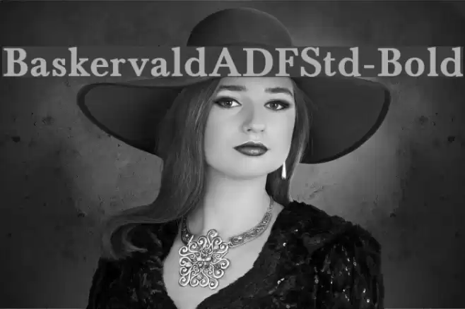 BaskervaldADFStd-Bold Font examples